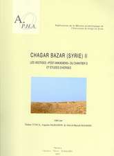 Chagar Bazar (Syrie) II: Les Vestiges Post-Akkadiens Du Chantier D Et Etudes Diverses