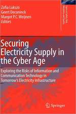 Securing Electricity Supply in the Cyber Age: Exploring the Risks of Information and Communication Technology in Tomorrow's Electricity Infrastructure