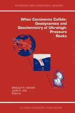 When Continents Collide: Geodynamics and Geochemistry of Ultrahigh-Pressure Rocks