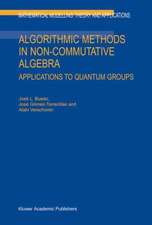 Algorithmic Methods in Non-Commutative Algebra: Applications to Quantum Groups