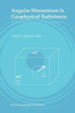 Angular Momentum in Geophysical Turbulence: Continuum Spatial Averaging Method