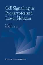 Cell Signalling in Prokaryotes and Lower Metazoa