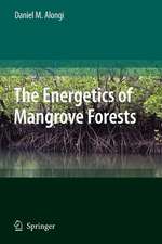 The Energetics of Mangrove Forests