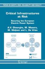 Critical Infrastructures at Risk: Securing the European Electric Power System