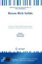 Boron Rich Solids: Sensors, Ultra High Temperature Ceramics, Thermoelectrics, Armor