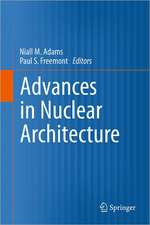 Advances in Nuclear Architecture