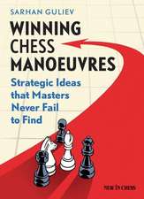 Winning Chess Manoeuvres: Strategic Ideas That Masters Never Fail to Find