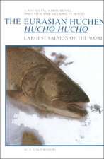 The Eurasian Huchen, Hucho hucho: Largest Salmon of the World