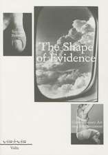 The Shape of Evidence