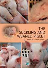 The suckling and weaned piglet