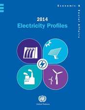 2014 Electricity Profiles