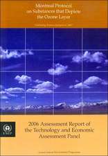 Montreal Protocol on Substance That Deplete the Ozone Layer: 2006 Assessment Report of Technology and Economic Assessment Panel