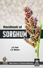 Handbook of Sorghum