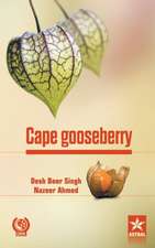 Cape Gooseberry