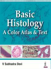 Basic Histology