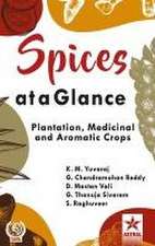 SPICES AT A GLANCE