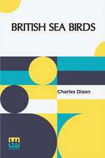 British Sea Birds