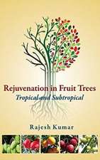 Rejuvenation in Fruit Trees