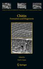 Chitin: Formation and Diagenesis