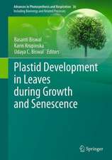 Plastid Development in Leaves during Growth and Senescence