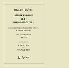 Grenzprobleme der Phänomenologie: Analysen des Unbewusstseins und der Instinkte. Metaphysik. Späte Ethik (Texte aus dem Nachlass 1908 – 1937)