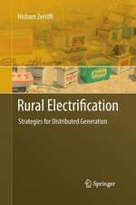 Rural Electrification: Strategies for Distributed Generation