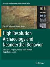 High Resolution Archaeology and Neanderthal Behavior