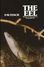 The Eel: Biology and Management of Anguillid Eels