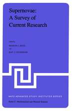 Supernovae: A Survey of Current Research: Proceedings of the NATO Advanced Study Institute held at Cambridge, U.K., June 29–July 10, 1981