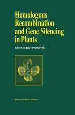 Homologous Recombination and Gene Silencing in Plants