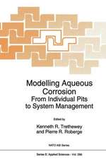 Modelling Aqueous Corrosion: From Individual Pits to System Management