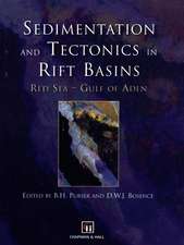 Sedimentation and Tectonics in Rift Basins Red Sea:- Gulf of Aden