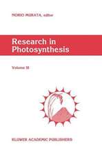 Research in Photosynthesis