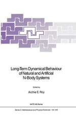 Long-Term Dynamical Behaviour of Natural and Artificial N-Body Systems