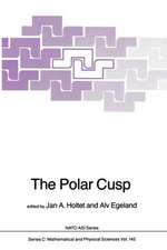 The Polar Cusp