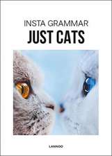 INSTA GRAMMAR JUST CATS