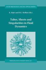 Tubes, Sheets and Singularities in Fluid Dynamics: Proceedings of the NATO ARW held in Zakopane, Poland, 2–7 September 2001, Sponsored as an IUTAM Symposium by the International Union of Theoretical and Applied Mechanics