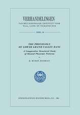 The Phonology of Lower Grand Valley Dani: A Comparative Structural Study of Skewed Phonemic Patterns