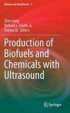 Production of Biofuels and Chemicals with Ultrasound