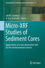 Micro-XRF Studies of Sediment Cores: Applications of a non-destructive tool for the environmental sciences