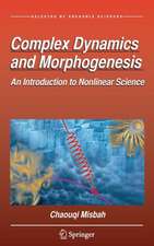 Complex Dynamics and Morphogenesis: An Introduction to Nonlinear Science