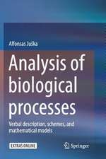 Analysis of biological processes: Verbal description, schemes, and mathematical models