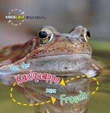 Von der Kaulquappe zum Frosch