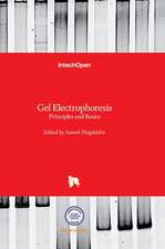 Gel Electrophoresis