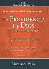 La Providencia de Dios