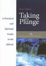 Taking the Plunge: Practical and Spiritual Guide to the Mikveh