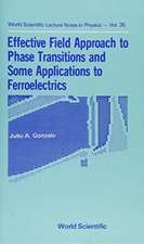 Effective Field Approach to Phase Transi