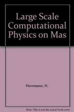 Large Scale Computational Physics on Massively Parallel Computers