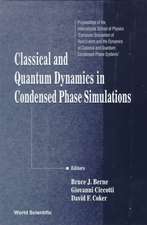 Classical and Quantum Dynamics in Condensed Phase Simulations: Proceedings of the International School of Physics