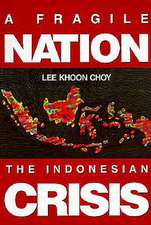 Fragile Nation, A: The Indonesian Crisis